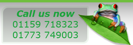 Carpet and Upholstery Cleaning, Nottingham and derbyshire Carpet and Upholstery Cleaning, Nottingham and derbyshire